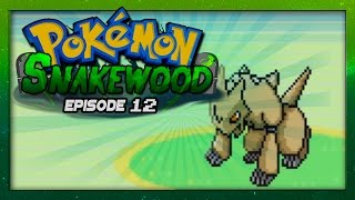 Pokemon Snakewood Episode 12 w Voltsy Gameplay Walkthrough [upl. by Arual]