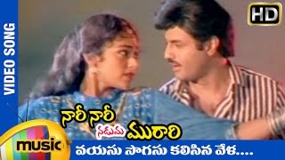 Nari Nari Naduma Murari Movie  Vayasu Sogasu Kalisinavela Video Song  Balakrishna  Shobana [upl. by Ainat]