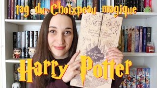 TAG HARRY POTTER  Le Choixpeau Magique ⚡ [upl. by Peppard]