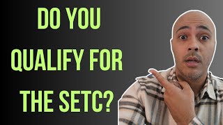 SETC  FFCRA  Self Employment Tax Credit  Do you Qualify [upl. by Ayalahs646]