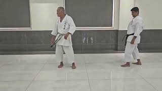 Irimi amp Meoto waza Gyaku chudan sukui uke and Counter punch along with a possible take down [upl. by Bergstein]