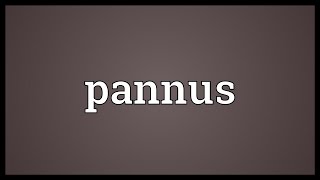 Pannus Meaning [upl. by Einaoj]