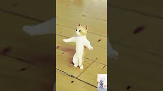 Cat dance aicatdance dog catdancevideo funny funnyclips funnyshorts [upl. by Yroger]