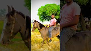 Love sharnjeet hiphop trap like shere sultan funny trending comment music rap [upl. by Auod]