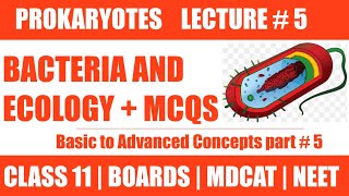 BACTERIA AND ECOLOGY LECTURE 5  CHAP PROKARYOTES  CLASS 11NMDCAT NEET [upl. by Daberath807]