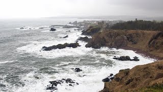 The End of Winter at St Abbs Head Eyemouth [upl. by Lenny]