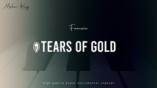 Faouzia  Tears of Gold Piano Karaoke Lower Male Key [upl. by Akeirahs81]