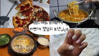 혼밥아오🍕🍺먹방 브이로그 네일💅🏻 제육볶음 된장찌개 떡라면 이태원 피자 맛집 보니스피자펍 인생 순댓국 농민백암순대 김치만두 남대문시장 구경 버거킹 폭식 먹방 리얼먹방 [upl. by Muhan]