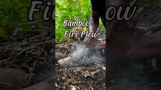 Fire plow in the interior forest firemaking [upl. by Ia]