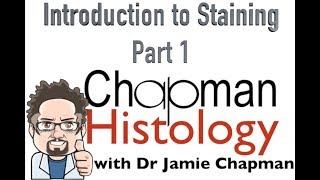 3 Min Histology Intro To Staining 1 [upl. by Ari285]