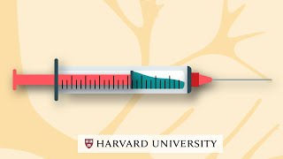 How mRNA vaccines work [upl. by Joane]