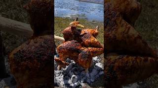 Delicious grilled chicken with special sauce in nature [upl. by Yeffej83]