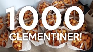 vlogg RÅKAR KÖPA 1000 CLEMENTINER [upl. by Natlus]