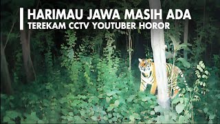 Harimau Jawa Terekam Kamera CCTV Amatir di Jawa Timur 6 Bulan Lalu [upl. by Hctud]