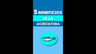 5 beneficios de la acuicultura [upl. by Okihcim]