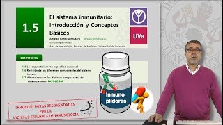 15 EL SISTEMA INMUNITARIO INTRODUCCIÓN Y CONCEPTOS BÁSICOS [upl. by Eisnyl]