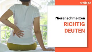 Nierenschmerzen richtig deuten mögliche Ursachen und Folgen [upl. by Engleman]