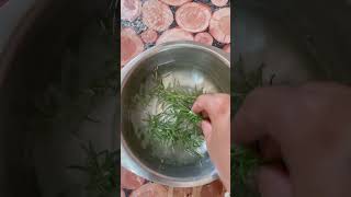 Rosemary plant hair toner ashortaday viralvideo rosemary anishagupta [upl. by Nannarb]