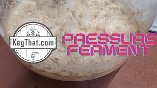 How To Use a Keg King Pressure Fermenter [upl. by Rance]