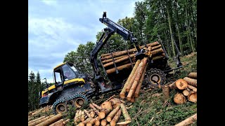 🌲 Ponsse Bison • PonsseWeek • Forwarder in Action • Forstarbeiten • Rückezug im Einsatz • 1🌲 [upl. by Holland635]