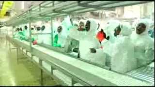 President Jacob Zuma visits Granfield Chicken Farm Abattoir [upl. by Oirretna658]