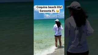 Fishing at Coquina Beach in Sarasota Florida fishing endless summer Sarasota Florida sublime [upl. by Haroppiz]