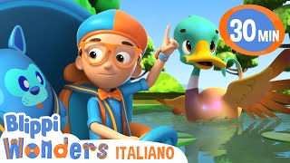 Le Anatre  Blippi Wonders in Italiano  Video educativi per bambini [upl. by Richer424]