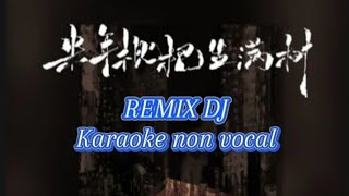 韩小欠  来年枇杷生满树 Karaoke non vocal Han xiao qian  Lai nian pi pa sheng man shu [upl. by Kiley]