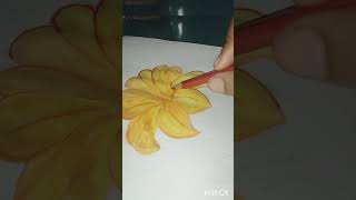 Beautiful flower drawing with pencil watercolor 😊🥰🌼🌷🌺shortvideo [upl. by Ayiak]