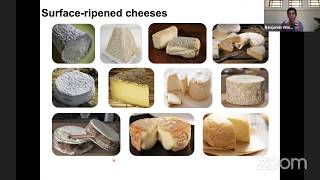 Microbial War and Peace in Cheese Rind Microbiomes  Fermentology miniseminars [upl. by Annil]