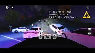 WHSP Forced to Use PIT Maneuvers as Dangerous Driver Evades Traffic Stop [upl. by Ecinnahs]