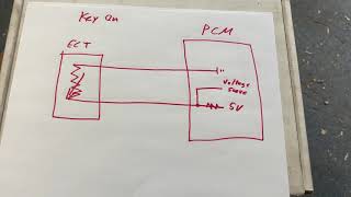 PullUp Vs LatPulldown PROs amp CONs [upl. by Aneeroc]