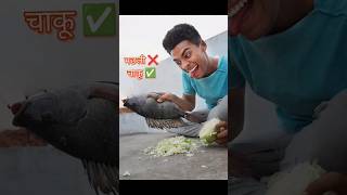 अगर घर के kitchen में बर्तन न हो🫨Fish shorts viral 100million [upl. by Alanson266]