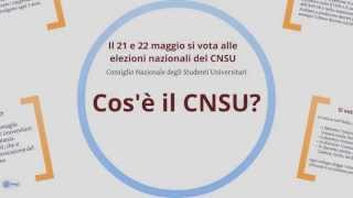 Cosè il CNSU [upl. by Decker]