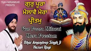 Gur Poora Milavai Mera Preetam  Bhai Amandeep Singh Ji Hazuri Ragi  New Shabad Gurbani Kirtan 2024 [upl. by Samy]