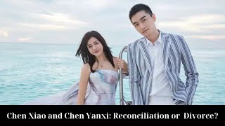 Chen Xiao and Chen Yanxi A Marriage at a Crossroads – Reconciliation or Inevitable Divorce [upl. by Gaylor]