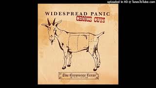 Widespread Panic  Blue Indian studio [upl. by Lenoj]