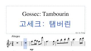 고세크 탕부랭 플루트 편곡 Gossec Tambourin for Flute [upl. by Nehr]