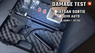 Hatsan Sortie 25 cal  635 Semi Auto PCP Air Rifle Damage Test 💥 [upl. by Raimes]