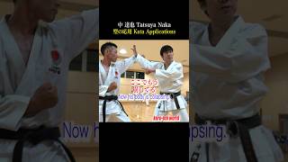 Use the kata ”Heian Nidan” Application【Tatsuya Naka】 [upl. by Ennairam]