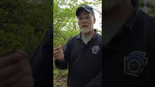 How to Identify Venomous vs Nonvenomous Snakes in Pennsylvania [upl. by Anewor]