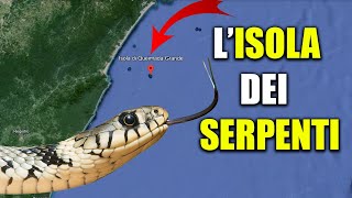 L ISOLA DEI SERPENTI IL POSTO PIÙ PERICOLOSO DEL MONDO [upl. by Annawek]