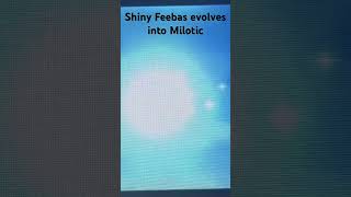 Shiny Feebas evolves [upl. by Aeriel]