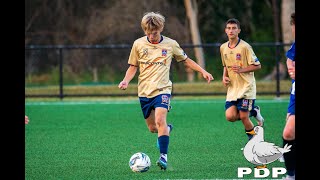 2023 U20s FNSW League 2 Men’s Hurstville FC vs Newcastle Jets Round 16 Highlights [upl. by Anerac]