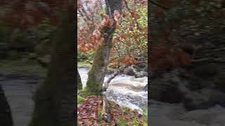 V83 Brecon Beacons National Park Afon Geidd BannauBrycheiniog river fastriver stormbert [upl. by Bray]