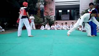 Vovinam vs Teawondo [upl. by Stallworth214]