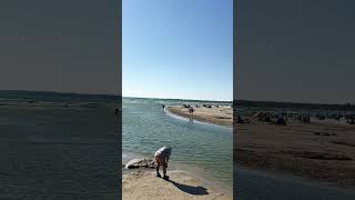 A day at Sandbanks provincial park  shorts [upl. by Ahsenaj]