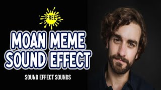 Moan Meme for 1 hour  Sound Effect Sounds [upl. by Selfridge]