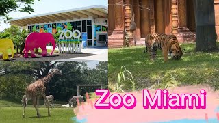 Zoo Miami Full tour We saw a Tiger Miami Florida 2023 [upl. by Gaves]