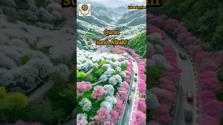 surah Alkahf by mishary al afasy juz30 islamicvibe shorts mishary quranforkidsshortsfeed [upl. by Aicilet]